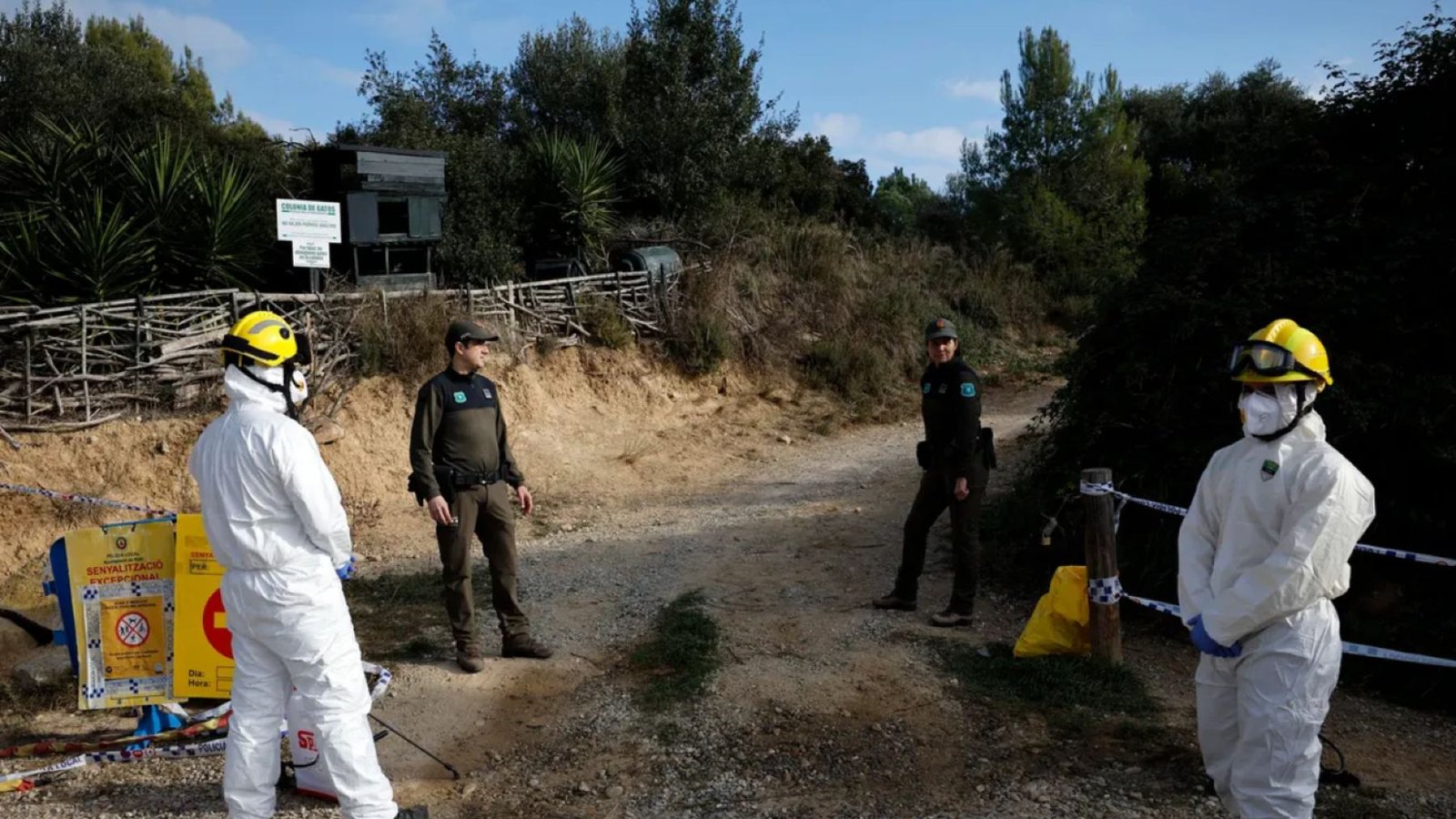 Confirmado: detectan los dos primeros casos de peste porcina negra fuera de la 'zona cero'